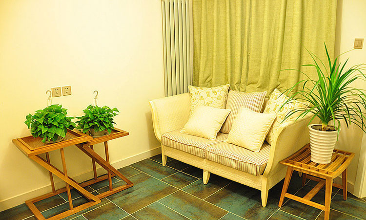 田园风格公寓10平米客厅盆栽装饰效果图