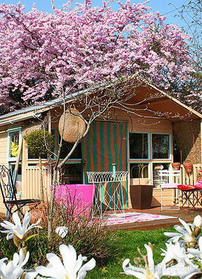 盛开的桃花为小屋遮风挡雨