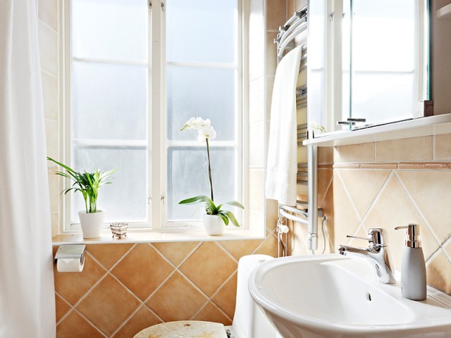 简洁的卫生间，有个小小的窗台，放上这么一两盆小盆栽也不错哦！