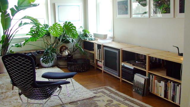 简约风格四室一厅50平米客厅植物盆栽软装搭配效果图