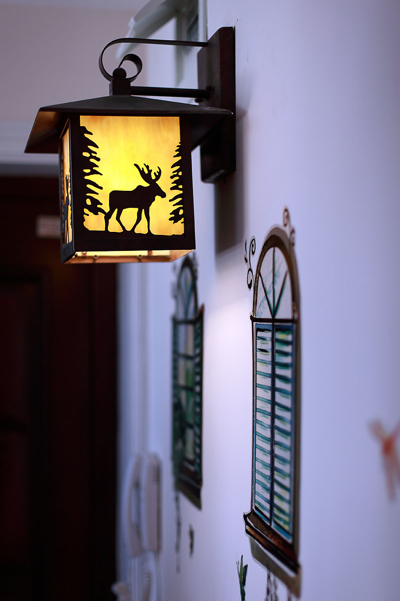 门口的阳台灯给搬进了室内，上面独特的麋鹿花纹精致细巧。