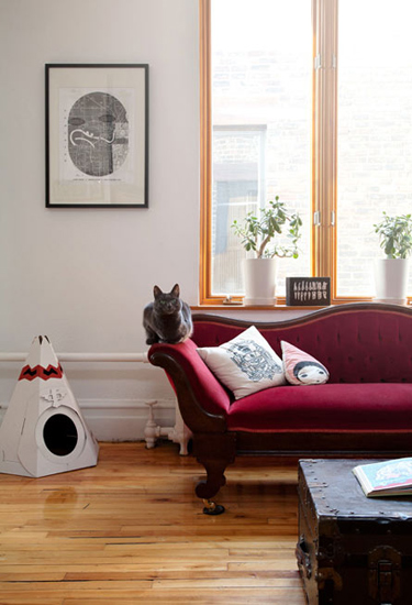 为了确保猫猫的活动空间，客厅的要以简单的家具为主，保证猫猫有一定跑动的空间。同时为了避免猫猫抓沙发而导致沙发报废，这里屋主选用了灯芯绒的沙发，减低因猫猫乱抓而“报废”家具的频率。红色能让动物保持积极乐观，在猫猫常活动的范围放置红色沙发，让猫猫培养积极向上的性格。