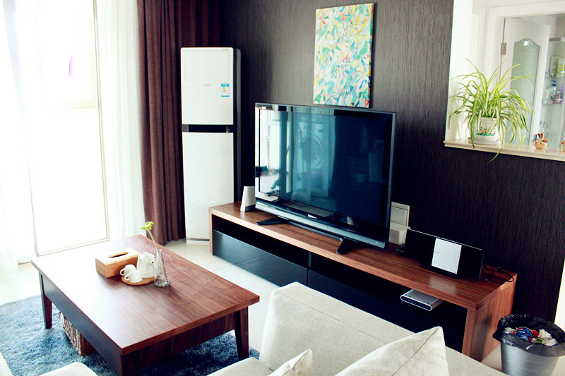 现代风格三室两厅经济型户型20平米客厅家具软装效果图