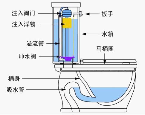 虹吸式马桶结构图 虹吸式马桶原理