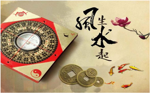 發(fā)財(cái)樹(shù)是很常見(jiàn)的風(fēng)水?dāng)[件吉祥物之一，很是受到人們的喜愛(ài)，一般在有的人家里或是在公司企業(yè)里，我們都能夠看到發(fā)財(cái)樹(shù)的身影。但是招財(cái)樹(shù)請(qǐng)到屋內(nèi)，并不是隨隨便便的隨手?jǐn)[放就可以達(dá)到招財(cái)風(fēng)水效果的，招財(cái)樹(shù)的擺放也是有很多的禁忌和講究的。下面我們就一起來(lái)看看招財(cái)樹(shù)的風(fēng)水?dāng)[放最佳位置在哪吧。