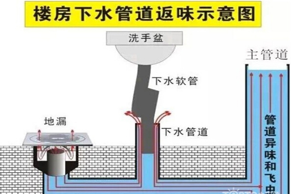 衛(wèi)生間老是發(fā)臭？想知道解決方法的看過來