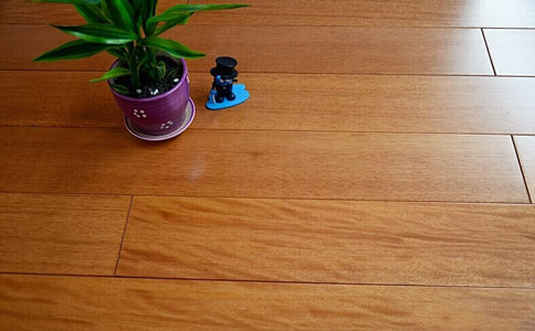 哪个牌子地板蜡好 不同类型地板蜡使用方法