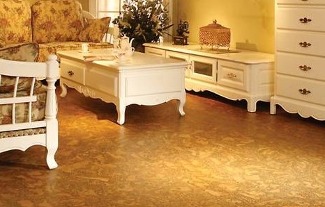 软木地板选购方法 多角度挑出高品质