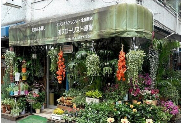 花店装修全攻略，分分钟打造完美花店