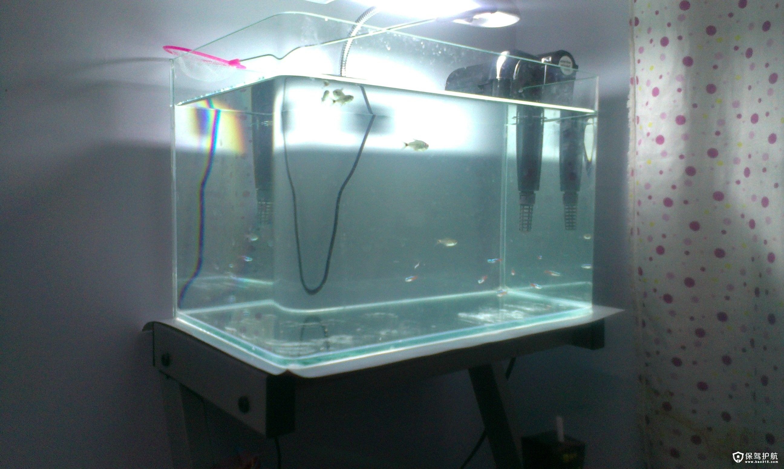 陶瓷鱼缸专用过滤器圆鱼缸水循环过滤系统增氧加湿竹子筒流水摆件-淘宝网