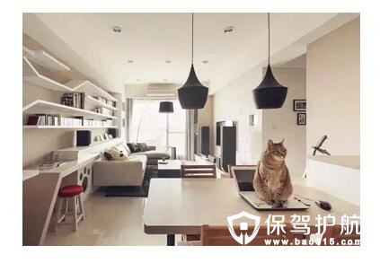 养猫家庭装修需要注意的事项