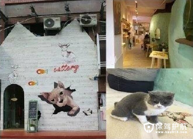 猫窝咖啡屋
