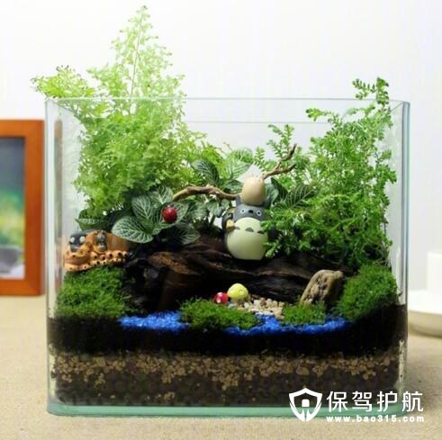 微景观苔藓龙猫生态瓶