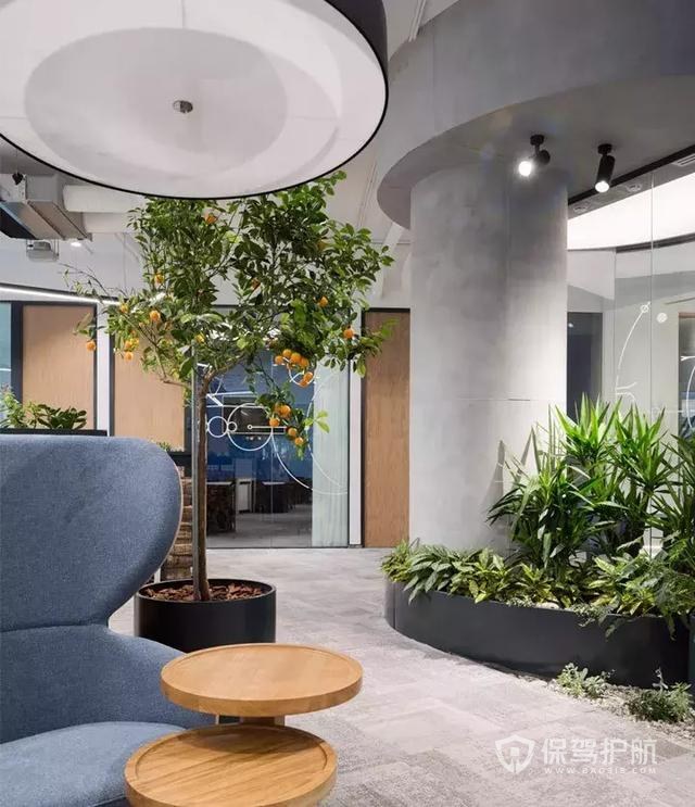 提高效率的办公室装饰绿化设计