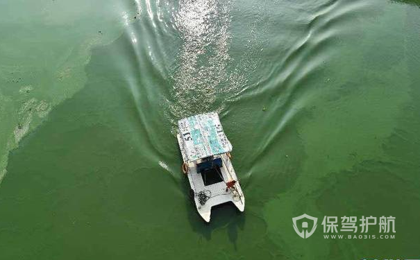 湖北自来水变绿汤-保驾护航装修网
