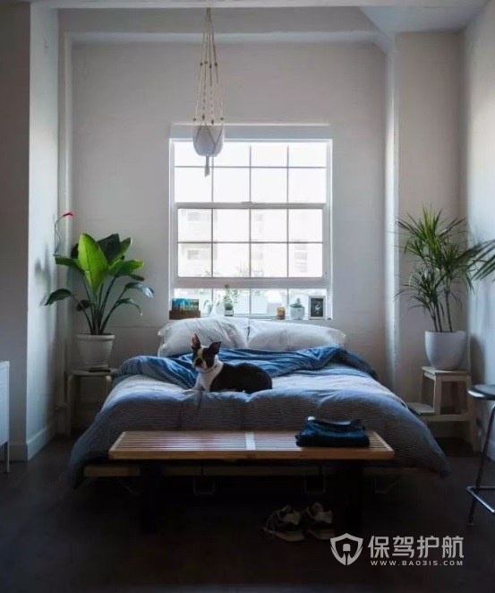 简约森系风卧室床头大型盆栽装修效果图