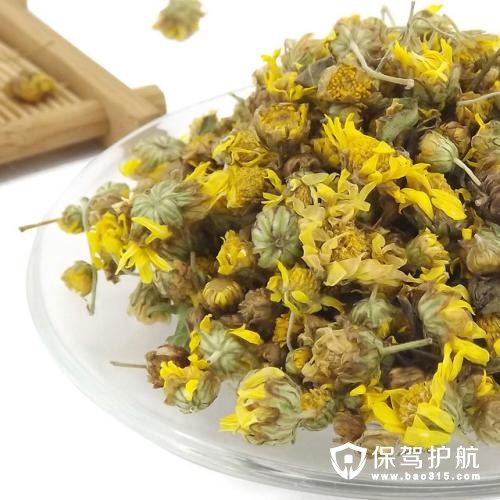 野菊花茶食用方法和禁忌